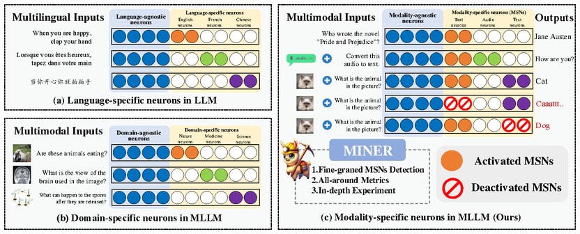 MINER modality-specific neurons concept